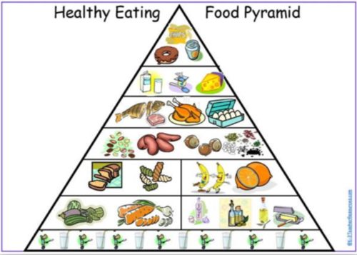 Food Pyramid - RISE Housing and Support Services