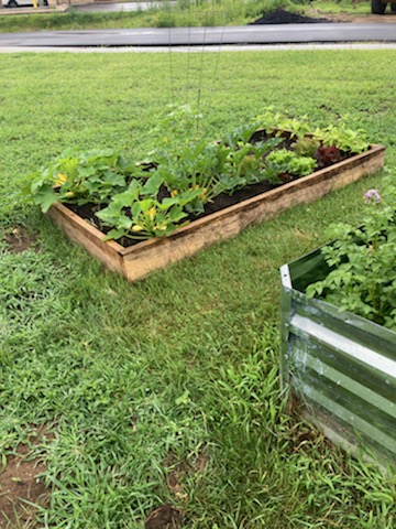 Thank You Pitney Meadows Community Farm